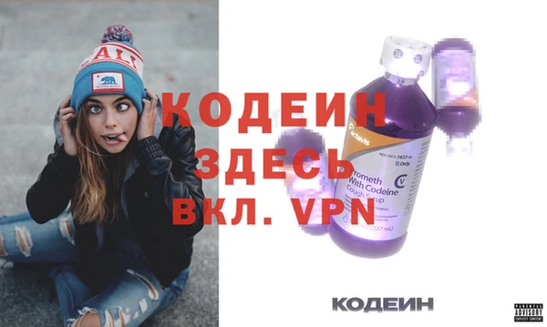 индика Кодинск