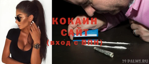 индика Кодинск