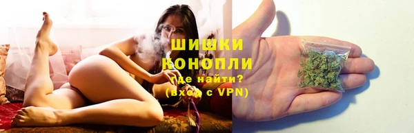 индика Кодинск