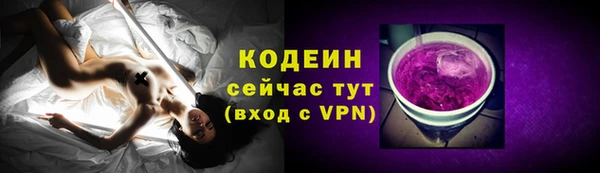 индика Кодинск