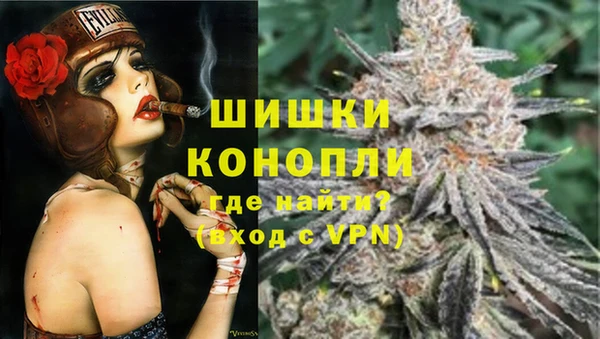 индика Кодинск